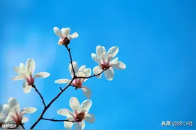 徐小明：明天大概率形成序列低9图片