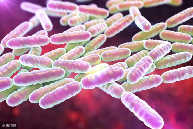 医生提醒：带你了解肠道“细菌”，这些细菌能干什么？看看吧