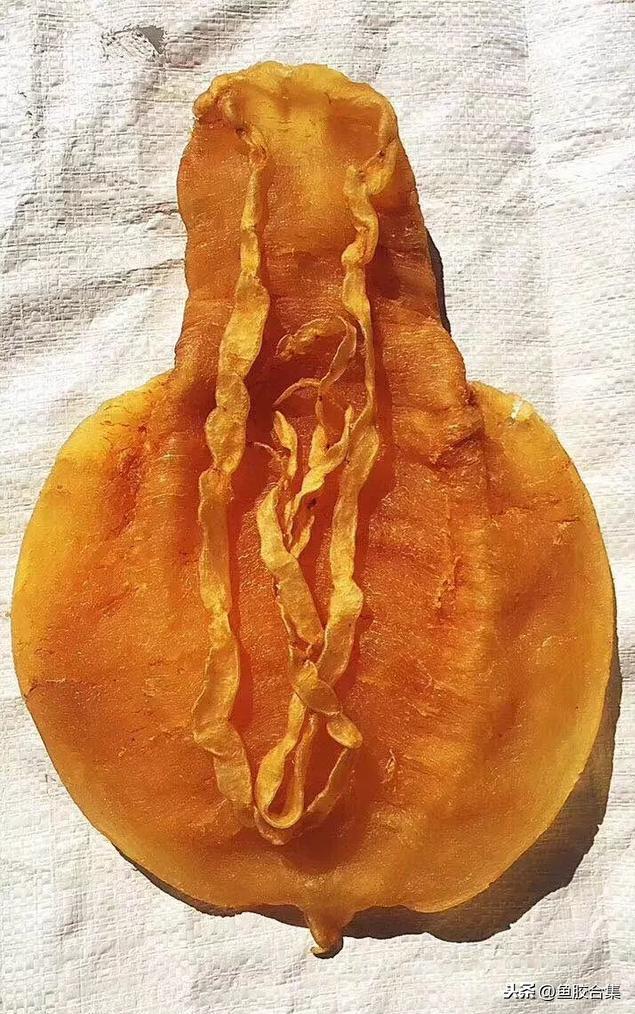 太平洋 产妇 花胶 2025年产后 花胶