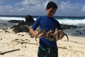 远离996！佛系生活 3名澳大利亚华人分享定居边远地区生活图片