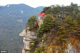 宋子文，你欠我一把金叶子图片