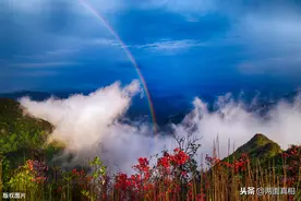 读心术：隔山打牛观察法图片