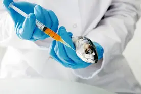 少碰！4种可能让宝宝“变笨”的食物，如何“吃”出聪明宝宝？图片