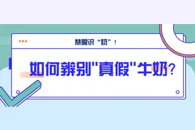 慧眼识“奶”！如何辨别真假牛奶？图片