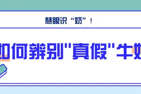 慧眼识“奶”！如何辨别真假牛奶？图片