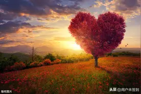 唯美情人节，祝愿大家情人节快乐图片