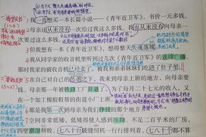 五年级第六单元《慈母情深》《父爱之舟》等笔记及单元知识汇总图