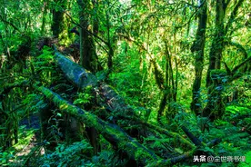 陶渊明一首经典的哲理诗，每一句都有大智慧，值得我们一读再读图片