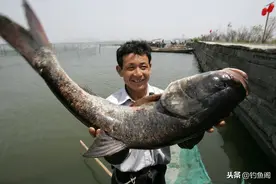 冬季如何钓起鲢鳙？干货解读：低温钓鲢鳙的2大核心3个基础图片