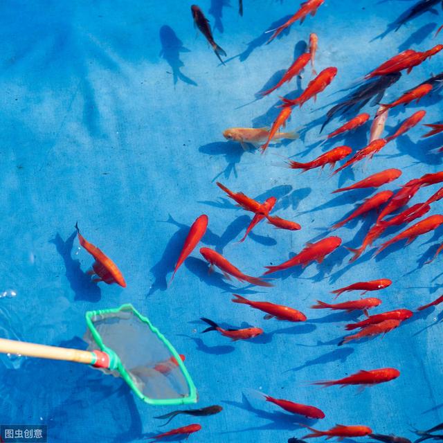 「营销技术」信息流广告行业的4个痛点