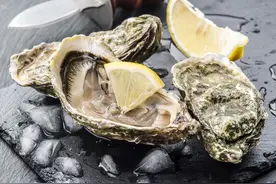 市场上生蚝和海蛎，到底有什么区别？今天算长见识了，别再买错了图片