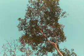莫揭他人短，莫笑他人穷图片