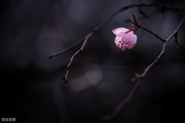 北新桥的海眼,北京欢迎您