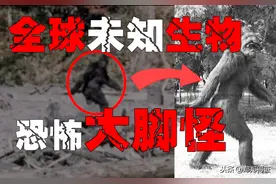 「大脚怪」世界各地出现大脚怪的踪影，是外星人来访还是神秘怪物图片
