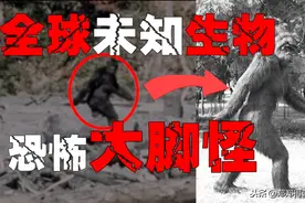 「大脚怪」世界各地出现大脚怪的踪影，是外星人来访还是神秘怪物图片