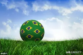 中国禽肉进口大增：巴西对华鸡肉出口激增55%图片