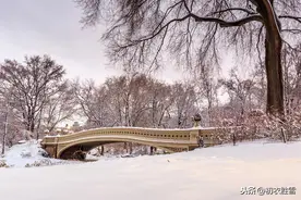 春秋越国的快意战歌：孟冬十月多霜雪，陈兵未济秦师降图片