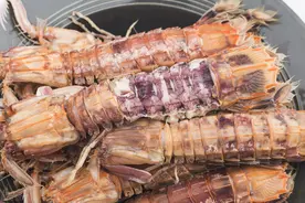 皮皮虾加水煮是错的，难怪肉缩小还发柴，海边人这样做，鲜嫩肥美图片