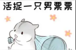 小仓鼠表情包来了，赶紧出来收徒啦！图片