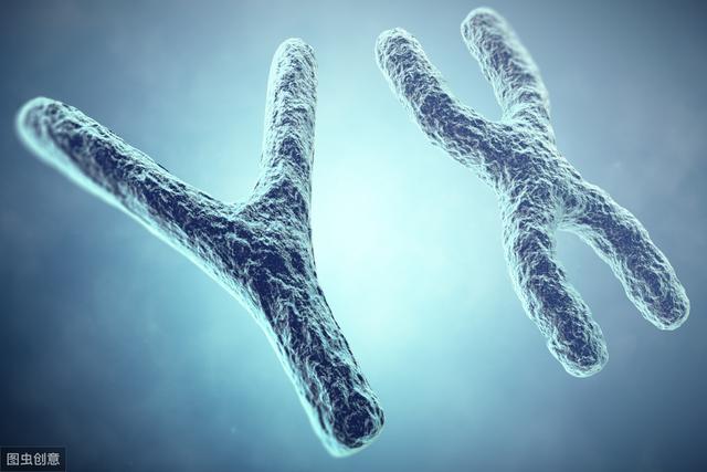 高中生物：学习过程中的这5大易错点，建议多看看