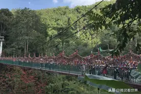 在路上，三个月内两次走进西双版纳，遇见更好的自己（一）图片