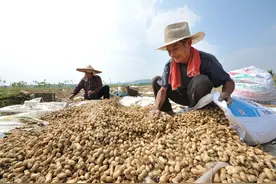 中秋后，要多吃“农家三宝”，营养全面还不贵，因时而食身体棒图片