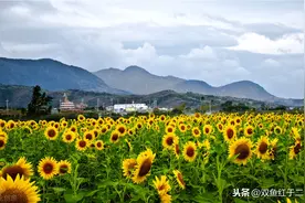 一年级语文下册词语积累图片
