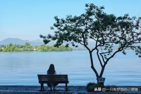 弱势群体被强势群体欺负了，结果他报复的是弱势群体图片