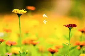 2020年最新抑郁症测试30题，都来测试一下自己吧图片