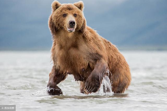 市值是什么意思啊（排名靠前就一定是价值币吗）