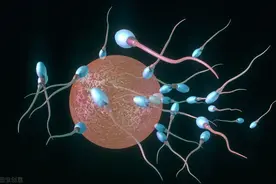 怀孕1-40周，胎儿发育全过程四维照，神奇的生命是这样形成的图片