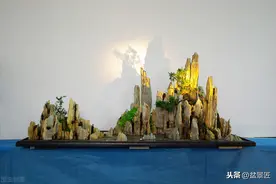 3块石头，7株植物，组合成盆景，身价翻倍还好卖图片