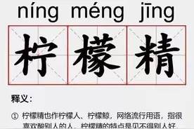 柠檬精、好嗨哟、硬核……这些词语入选2019年十大网络用语！图片