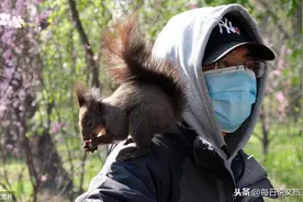 沈阳公园内，见到游客开心不已的松鼠！图片