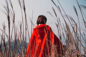 故事：人与猴子换魂的离奇经历图片