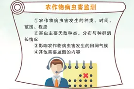 宣传贯彻病虫害防治条例，保障粮食安全和农产品质量安全——《农作物病虫害防治条例》图解图片