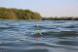 钓鱼时有风浪浮漂动作看不清怎么办？老钓友总结的这个方法真实用图片