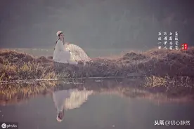 美女古筝演奏《一曲相思》，欲问青天这人生有几何，真的太好听了图片