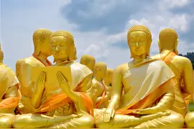 为什么佛教的寺庙水池中多莲花、金鱼和乌龟，他们有什么渊源？图片