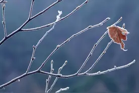 在飘雪的冬季，等你图片