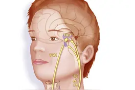 女性、特别是孕妇促甲状腺激素高的原因有哪些？会造成什么危害？图片