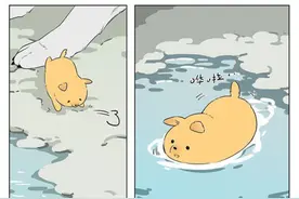 萌系治愈漫画：小土豆游泳，狼王脑补了一堆遇到危险的情景图片