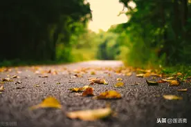 自己与自己对话（随笔）图片