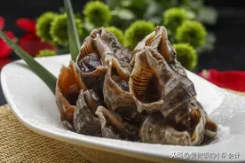海螺要煮多久才好？记住3点，海螺鲜美又脆嫩，轻松脱壳不断尾图片