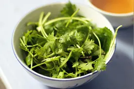 香菜=臭屁虫？这可能是先天障碍造成的图片