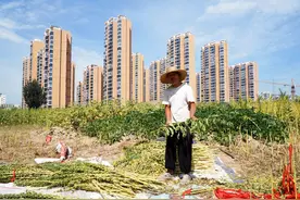 农村拆迁有房无户口还给补偿吗？图片