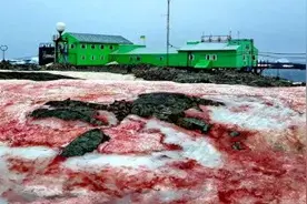 南极出现10年最高温，大片血色雪域震撼人心：拯救已经刻不容缓图片