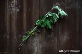 赌徒黄光裕，渣男张玉栋图片