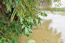 都说暴雨过后好钓鱼？事实告诉你答案图片