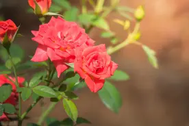 拉黑和删除，在感情上有什么不同？图片